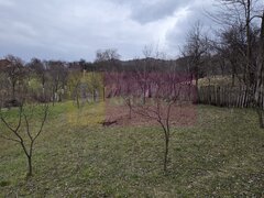 Teren intravilan 800 mp de vanzare in Lunca Mare